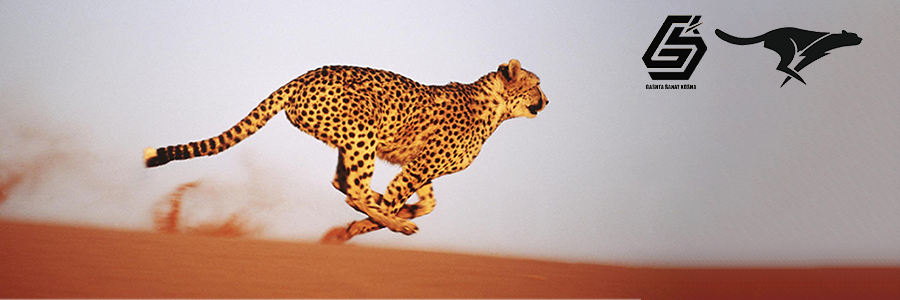 شرکت تولیدی صنعتی گشتا صنعت کوشا