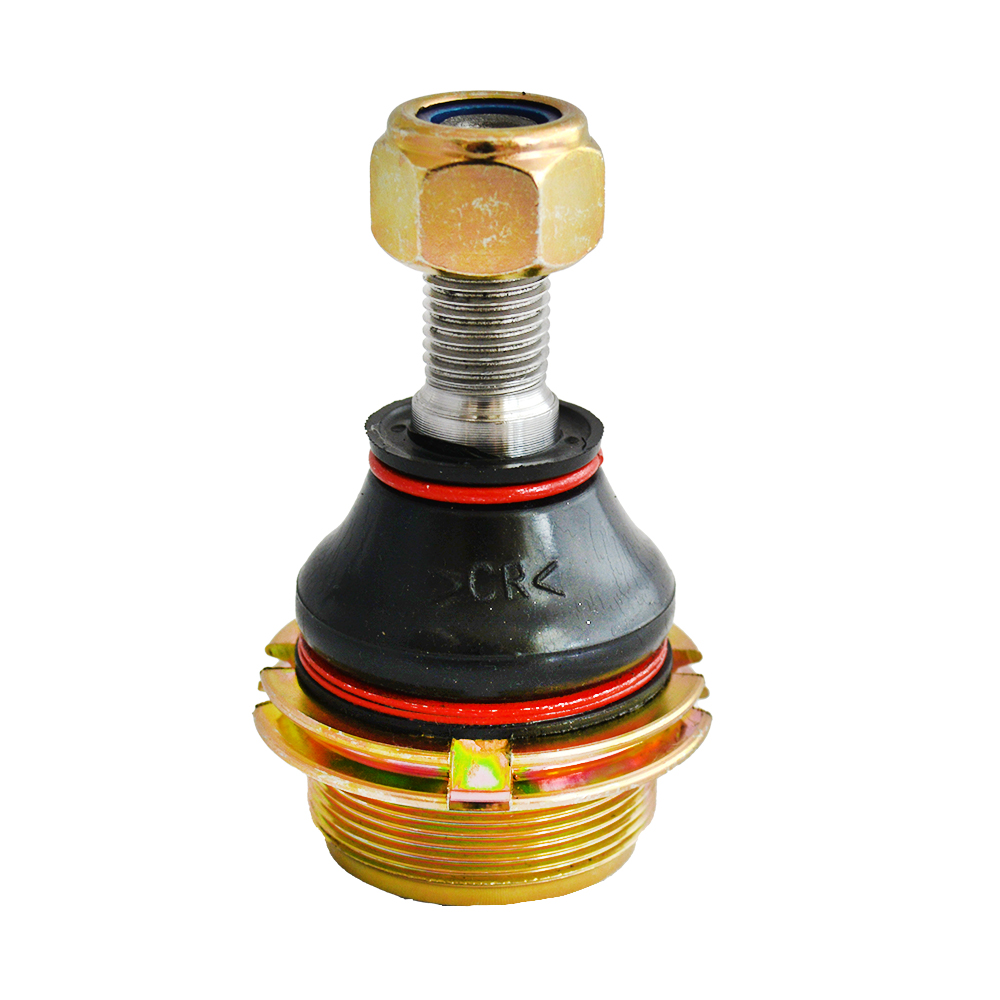 سیبک طبق زانتیا